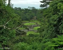 Monumento Nacional Guayabo