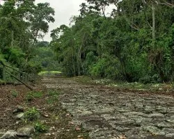 Monumento Nacional Guayabo