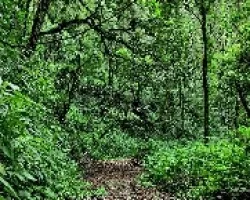 Sendero Refrescante