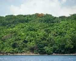 Isla San Lucas2