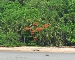 Playa en la Pen?nsula