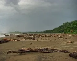 Cerro Tortuguero