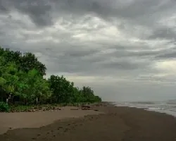 Playa Tortuguero