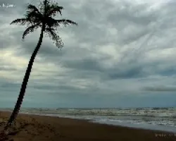 Tortugero Norte