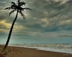Tortugero Norte