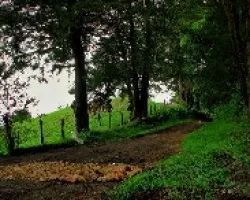 Haciendo Camino2
