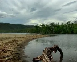 En el Estero Real