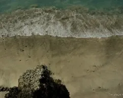Espumas en las Rocas