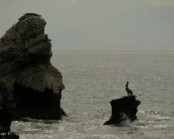 Pescador Solitario