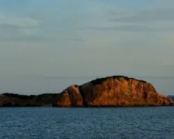 Una tarde en Guayabo