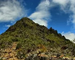 Chirripo