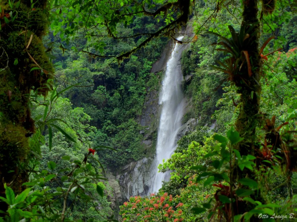 Foto
