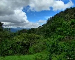 De Camino por Guabata