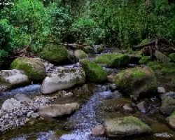 En el rio Palomo