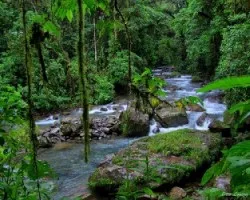 Rio La Marta