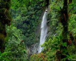 Catarata Tropical