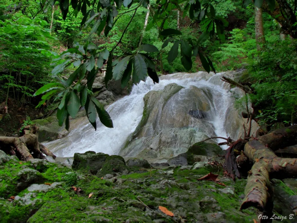 Foto