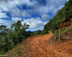 Curvas en Tarrazu