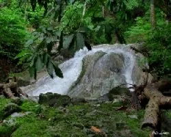 Frescura en la Peninsula