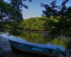 Comienza el Dia en el Estero