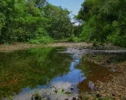 Camino a Murcielago