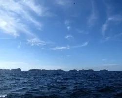 Las Murcielagos a la Vista