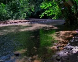 Tarde junto al Rio Blanco
