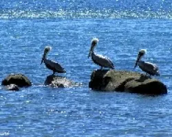Trio de Pescadores