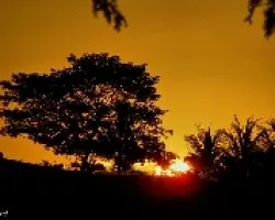 Sol Veraniego