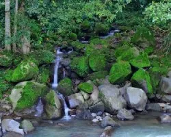 A Orillas del Reventazon