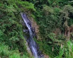 El Salto Final