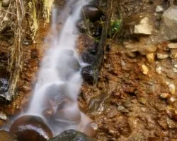 belo de la novia