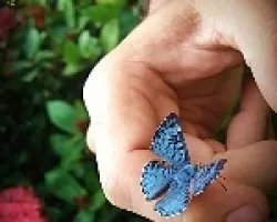 Mi homenaje a la Naturaleza