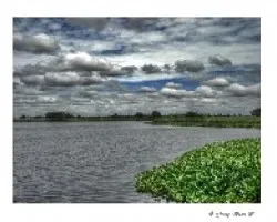 Laguna Del Medio
