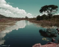 Lost World (Un Mundo Perdido)