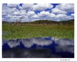 Entre nubes.....