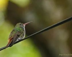 solitario!!!!