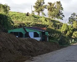 casa