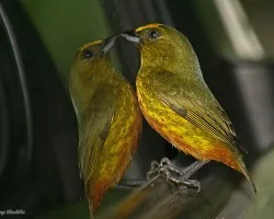 espejito, espejito....