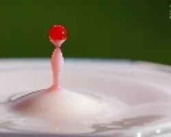 gota 1