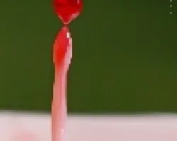 gota 2