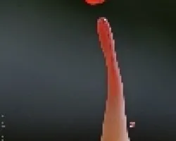 gota 4
