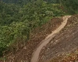 camino a la catar?ta de La Paz 