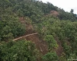Camino a Cinchona
