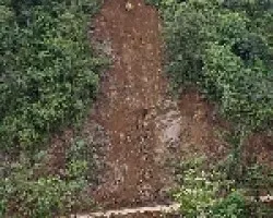 piedras