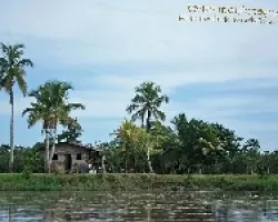 Paisaje caribe?o