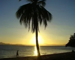Soledad