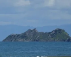 Isla Ballena