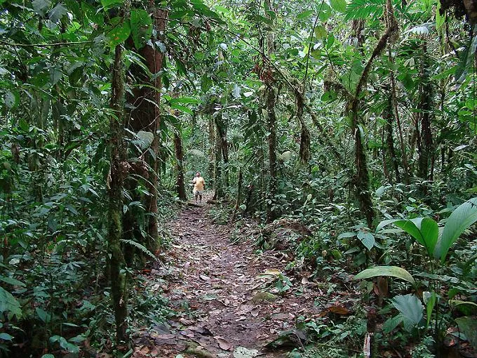 Foto