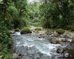 El entorno